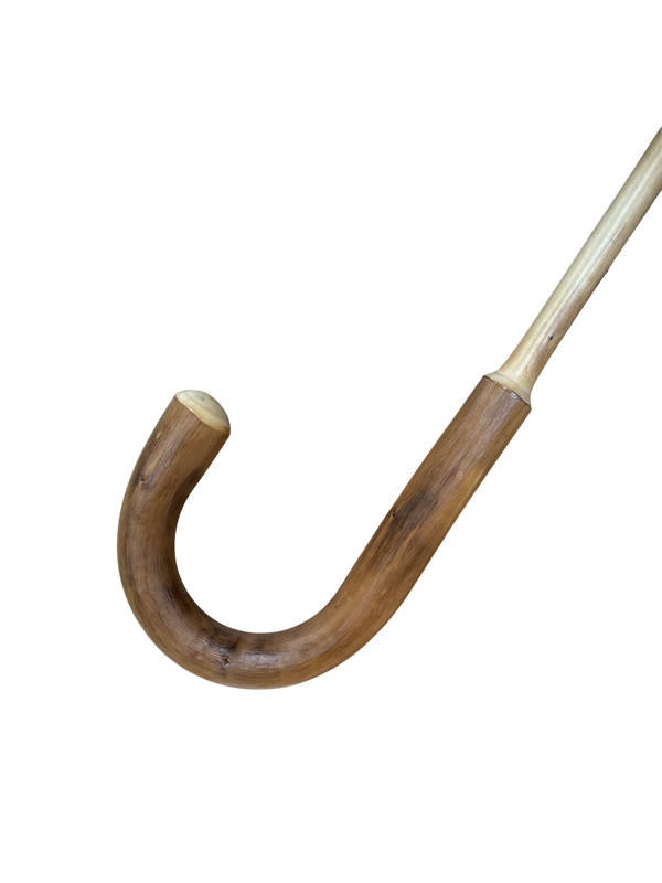 イタリア製　カスタニアソリッド　1本棒