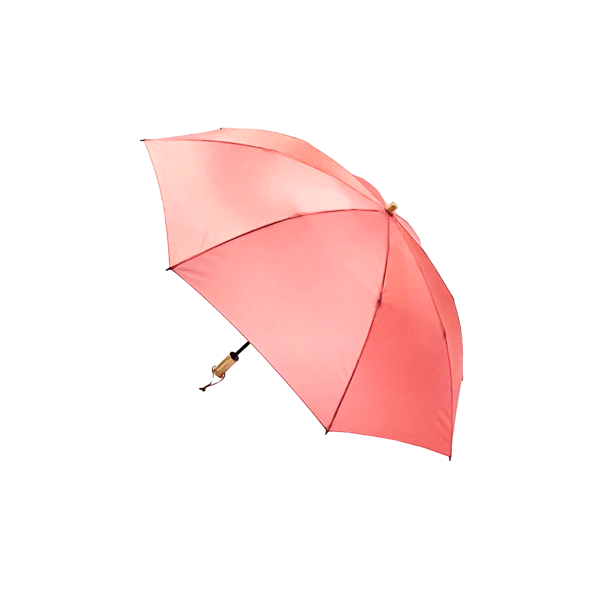 Rainbow~Niji 2way Folding Umbrella