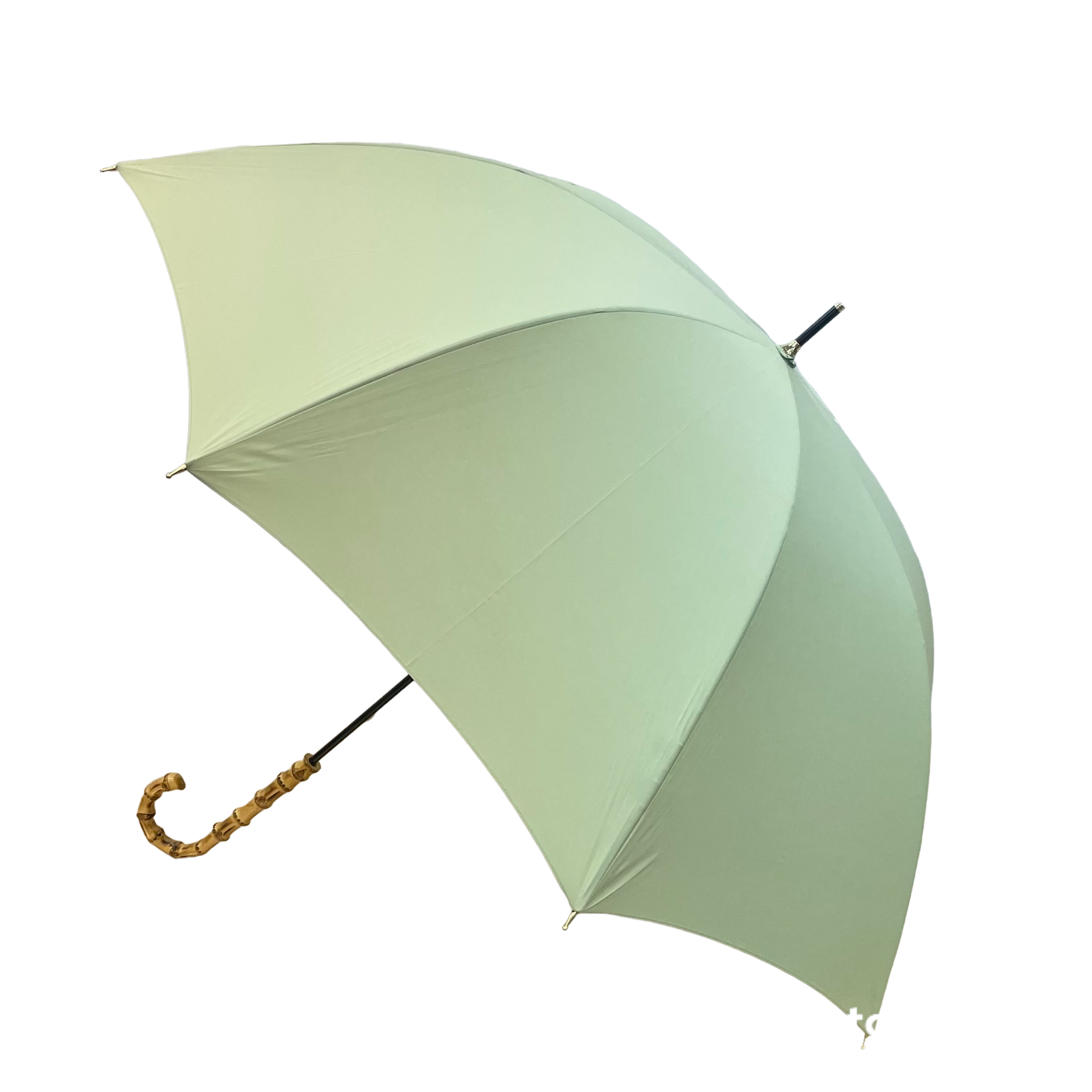☆ New color added Strong water repellent Raindrop Ladies Rectus Bamboo Long Umbrella